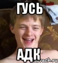 Гусь АДК