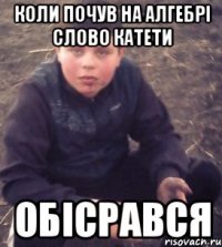 Коли почув на алгебрі слово катети обісрався