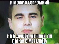 я МОЖЕ Я І ОГРОМНИЙ НО В ДУШЕ Я, НЕЖНИЙ, ЯК ПІСЮН В МЕТЕЛИКА