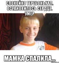Спокойно теребонькал. Остановилось сердце. Умер Мамка спалила...