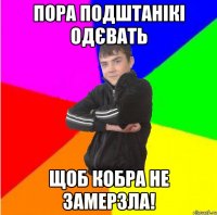 пора подштанікі одєвать щоб кобра не замерзла!