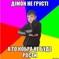 дімон не грусті а то кобра не буде рости