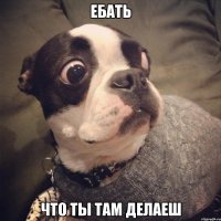 ЕБАТЬ ЧТО ТЫ ТАМ ДЕЛАЕШ