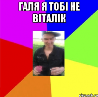 галя я тобі не віталік 