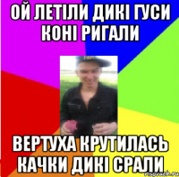 ой летіли дикі гуси коні ригали вертуха крутилась качки дикі срали