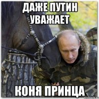 даже Путин уважает коня принца