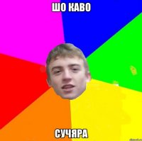 шо каво сучяра