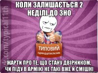 Коли залишається 2 неділі до ЗНО Жарти про те, що стану двірником, чи піду в армію не такі вже й смішні