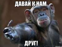 Давай к нам, ДРУГ!
