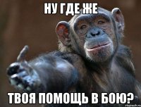 Ну где же твоя помощь в бою?