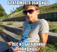 брата моего обидишь лес из багажника увидишь
