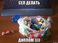 СЕЛ ДЕЛАТЬ ДИПЛОМ ))))