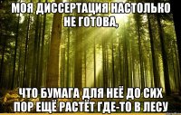 Моя диссертация настолько не готова, что бумага для неё до сих пор ещё растёт где-то в лесу