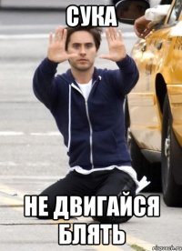 сука не двигайся блять