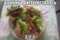 до конца диеты осталось 3. 2. 1.