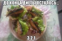 до конца диеты осталось... 3 2 1
