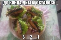 до конца диеты осталось... 3__2__1