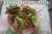 до конца диеты осталось ...