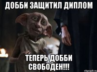 Добби защитил диплом теперь добби свободен!!!