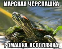 марская чєрєпашка ромашка, нєволяжка