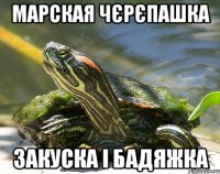марская чєрєпашка закуска і бадяжка