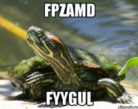 FPzAMD fyyGuL