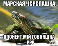марская чєрєпашка опонент мій говняшка =РРР