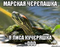 марская чєрєпашка я лиса кучєряшка =DDD