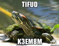 TifuD K3eM8M