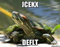 JCekX dEfLt