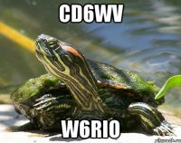 Cd6Wv W6rIO