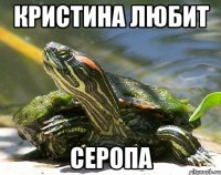 кристина любит серопа