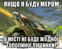 Якщо я буду мером В місті не буде жодної тополиної пушинки!