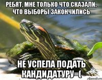 Ребят, мне только что сказали, что выборы закончились не успела подать кандидатуру=(
