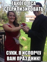 такого пса стерилизировать суки, я испорчу вам праздник!