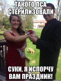 такого пса стерилизовали суки, я испорчу вам праздник!