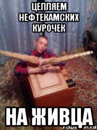 цепляем нефтекамских курочек НА ЖИВЦА