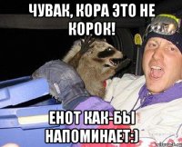 Чувак, кора это не корок! енот как-бы напоминает:)