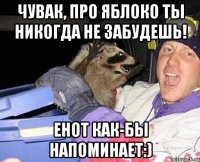 Чувак, про яблоко ты никогда не забудешь! енот как-бы напоминает:)