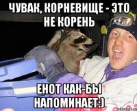 Чувак, корневище - это не корень енот как-бы напоминает:)