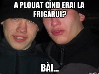 A plouat cînd erai la frigărui? băi...