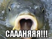  Саааняяя!!!