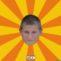  ТЕКИ