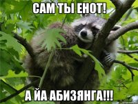Сам ты енот! А йа АбизянГа!!!