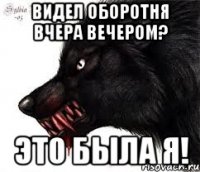 Видел оборотня вчера вечером? Это была я!