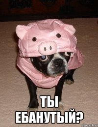  ты ебанутый?