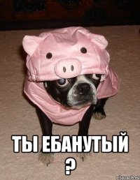  ты ебанутый ?