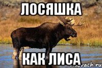 Лосяшка как Лиса