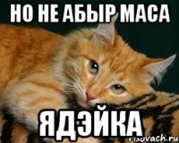 НО НЕ АБЫР МАСА ЯДЭЙКА