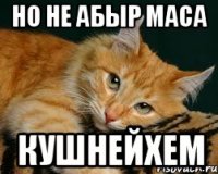 НО НЕ АБЫР МАСА КУШНЕЙХЕМ